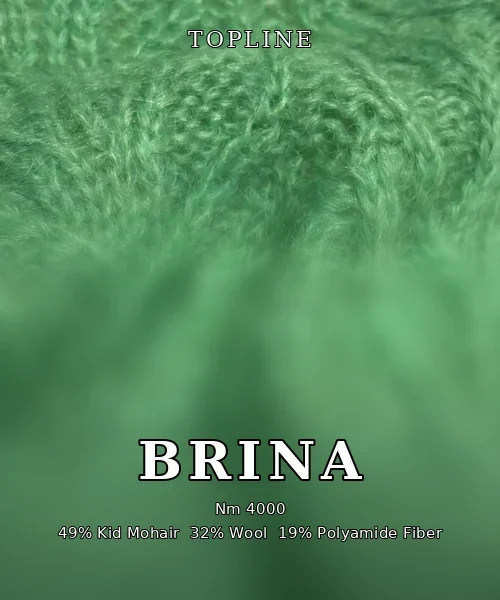 BRINA