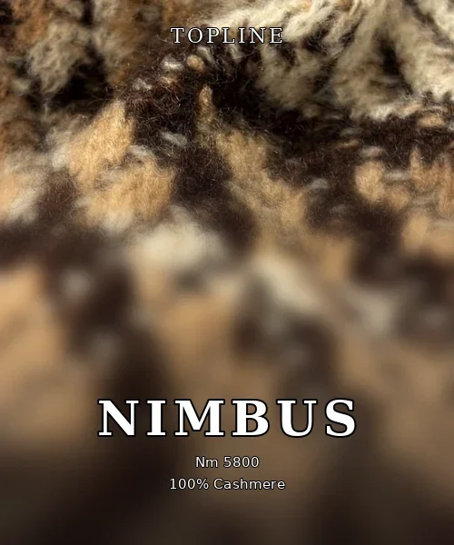 NIMBUS